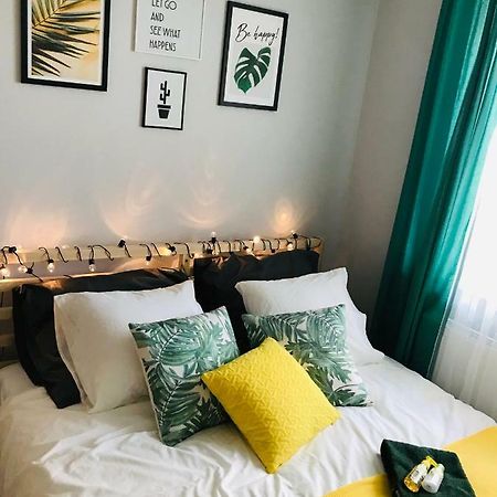 קולובז'ג Pineapple Apartment מראה חיצוני תמונה