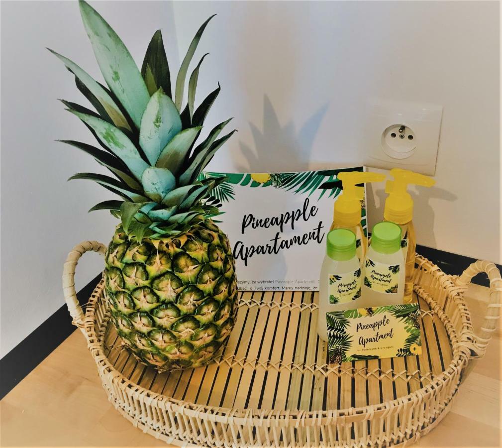 קולובז'ג Pineapple Apartment מראה חיצוני תמונה
