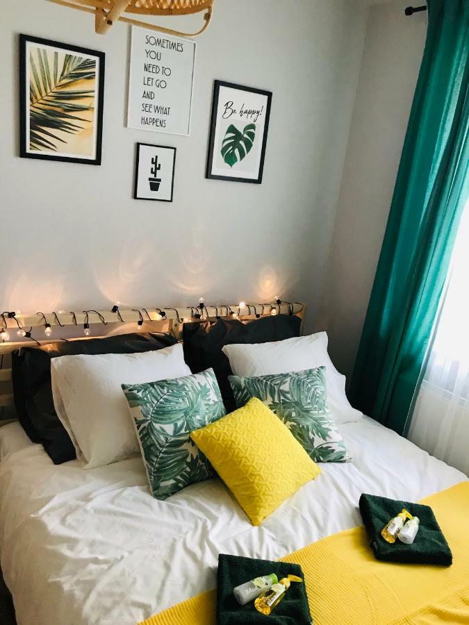 קולובז'ג Pineapple Apartment מראה חיצוני תמונה