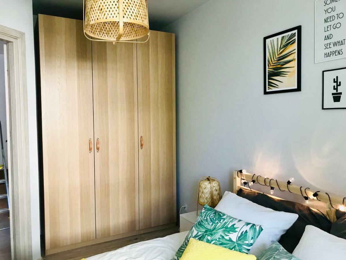 קולובז'ג Pineapple Apartment מראה חיצוני תמונה