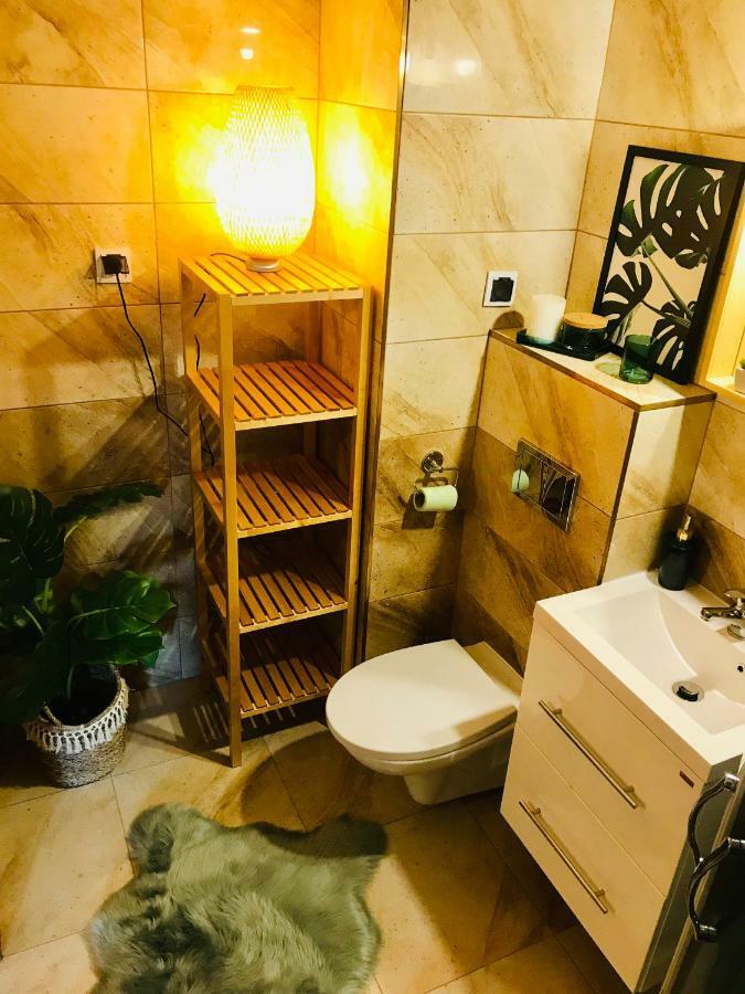 קולובז'ג Pineapple Apartment מראה חיצוני תמונה
