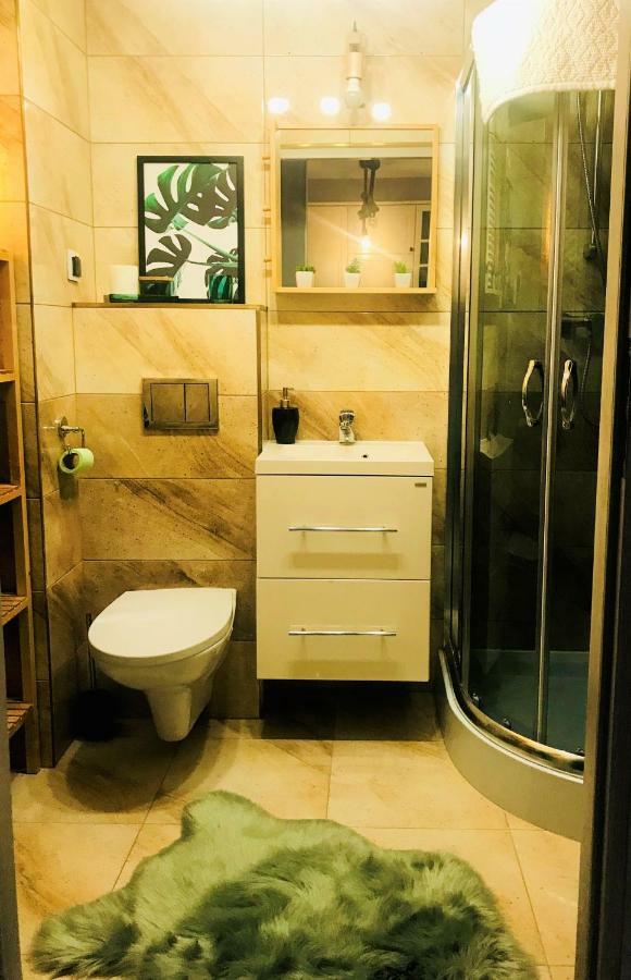 קולובז'ג Pineapple Apartment מראה חיצוני תמונה